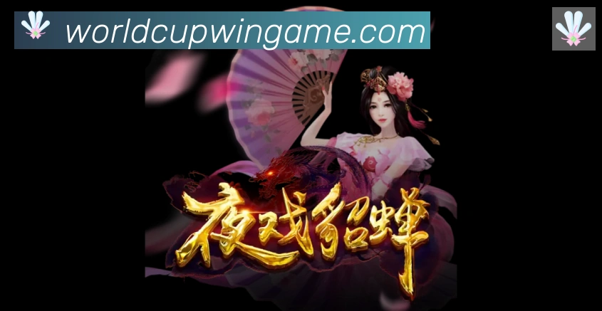 奖项证书